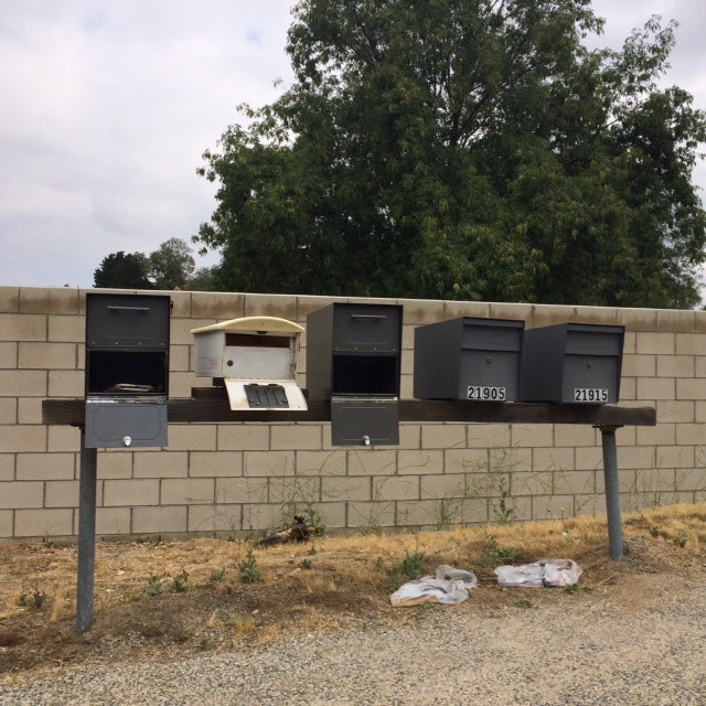 Competitors' Mailboxes Pried Open, Not Mail Boss