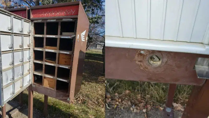 Mail Theft Monday : 11/01/21 - 11/07/21