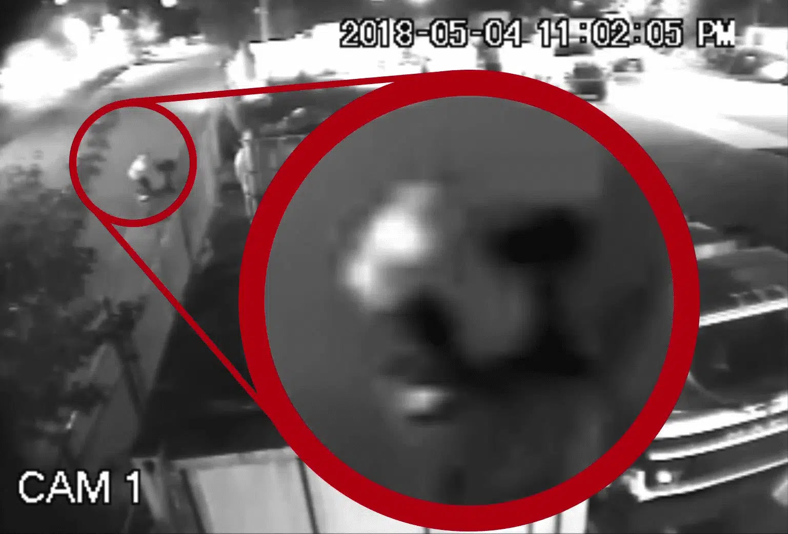 Attempted Mail Boss Break In = EPIC FAIL!