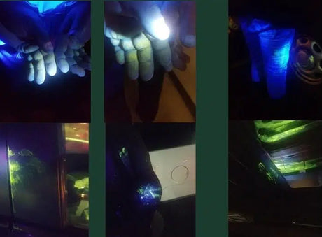 Mail Theft Monday : 03/17/20 - 03/23/20