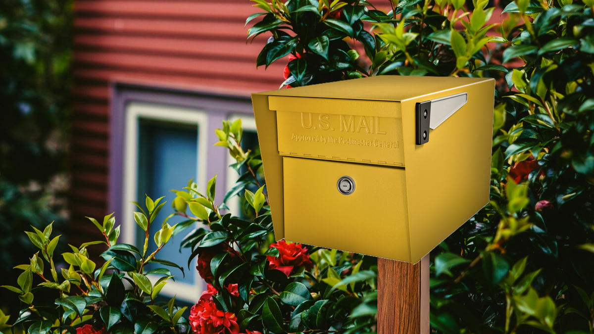 KDVR Fox 31 Denver: Mail Manager expert approved