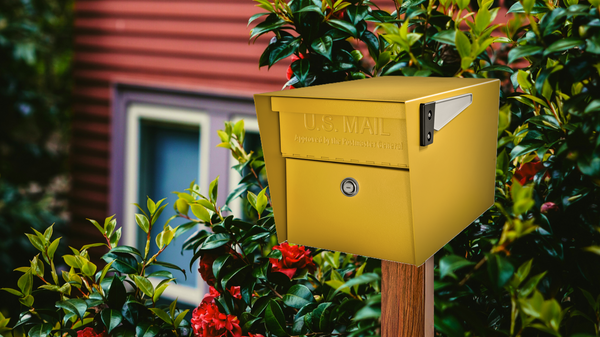 KDVR Fox 31 Denver: Mail Manager expert approved