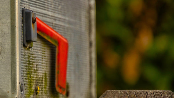 The History of Mail in the United States