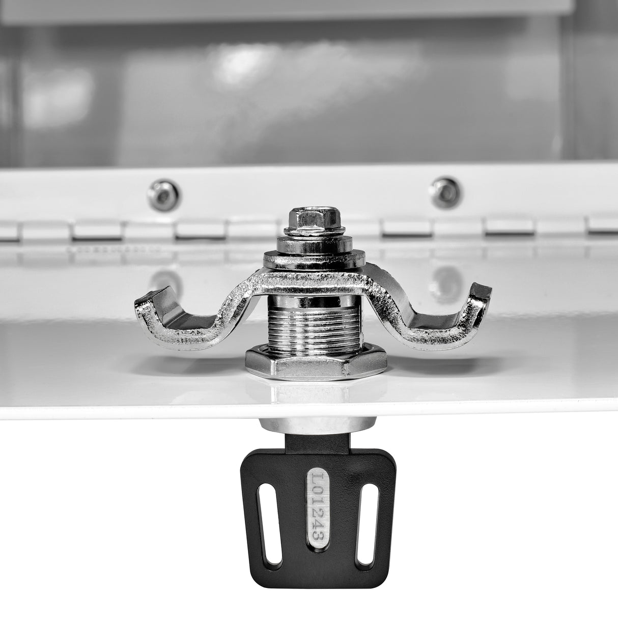 Mail Manager® Street Safe