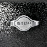 HASP Padlocking Mailbox Lock