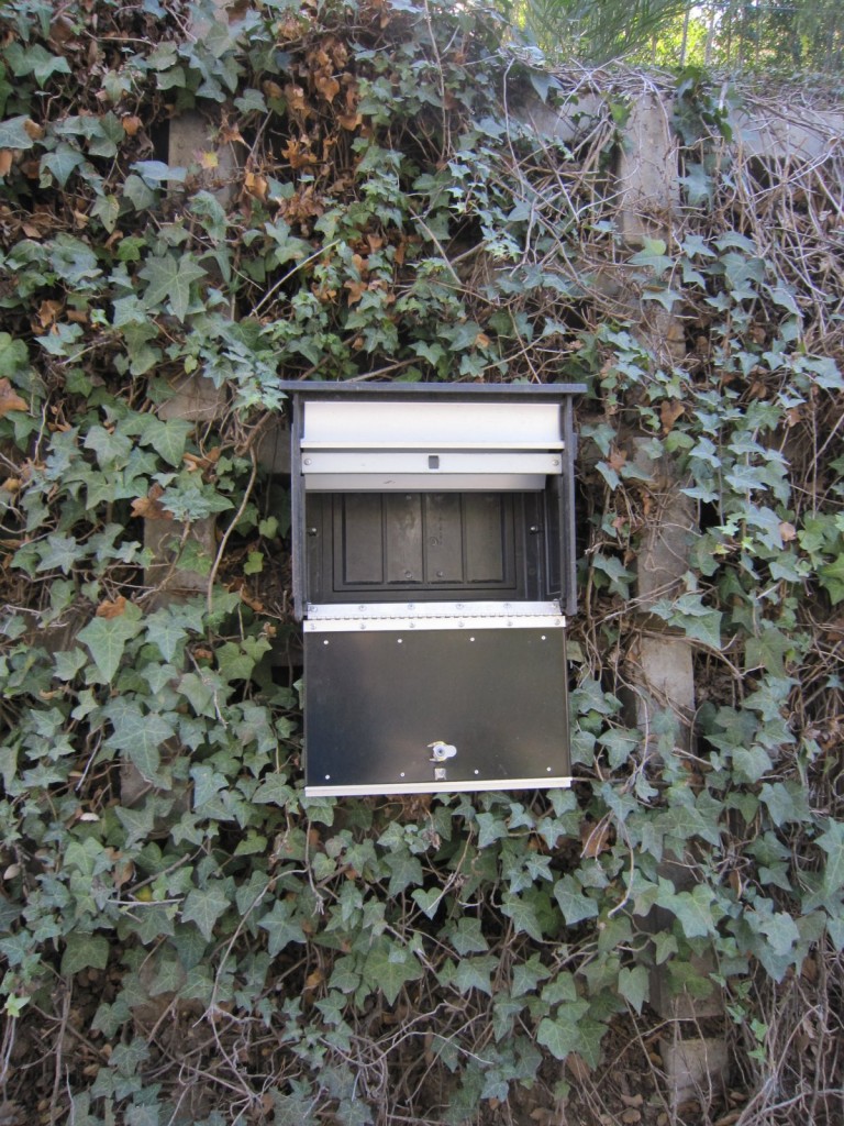 Sherman Oaks mailbox breakin